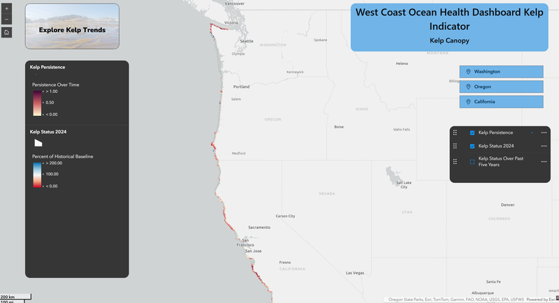 Kelp indicator interactive map screenshot
